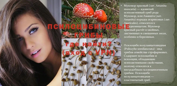 jwh Нея