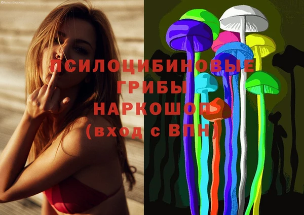 дмт Нефтекумск