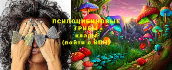 дживик Навашино