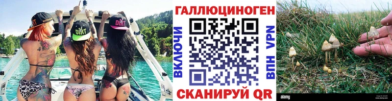 Псилоцибиновые грибы Cubensis цена Певек
